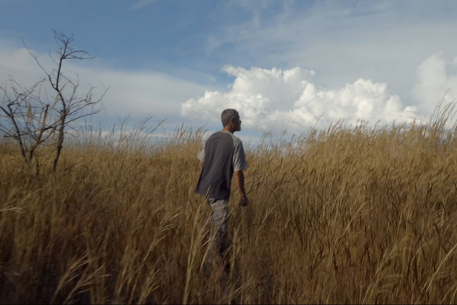Flora y Fauna del Infeliz (2025), dir. Oscar Sánchez, Aldo Bernal, Edgar Rodríguez Lara.