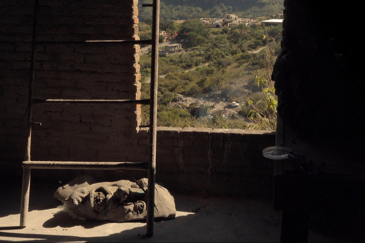 Flora y Fauna del Infeliz (2025), dir. Oscar Sánchez, Aldo Bernal, Edgar Rodríguez Lara.