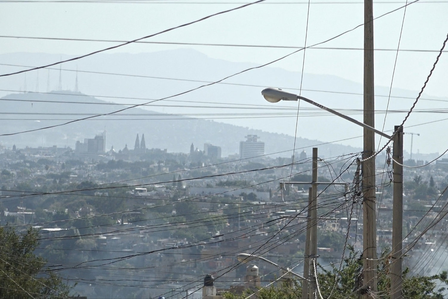 Flora y Fauna del Infeliz (2025), dir. Oscar Sánchez, Aldo Bernal, Edgar Rodríguez Lara.