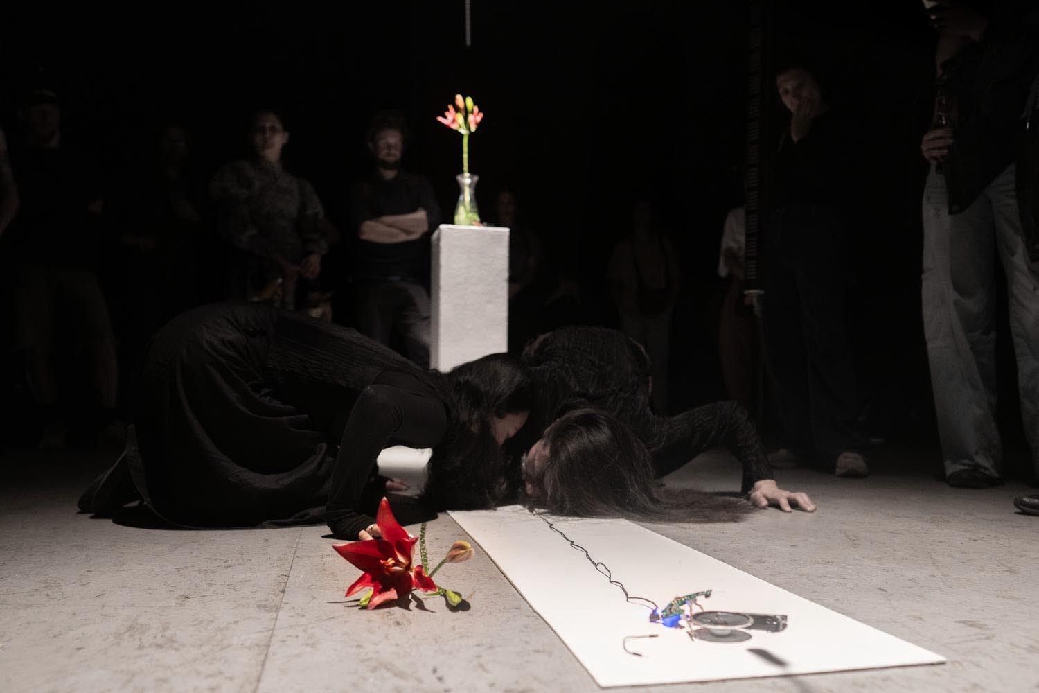 Spider Lilies Breathe Together - with bela and Jena Jang @ Public House, MeetFactory, Prague (2024). PH miharu Micha.